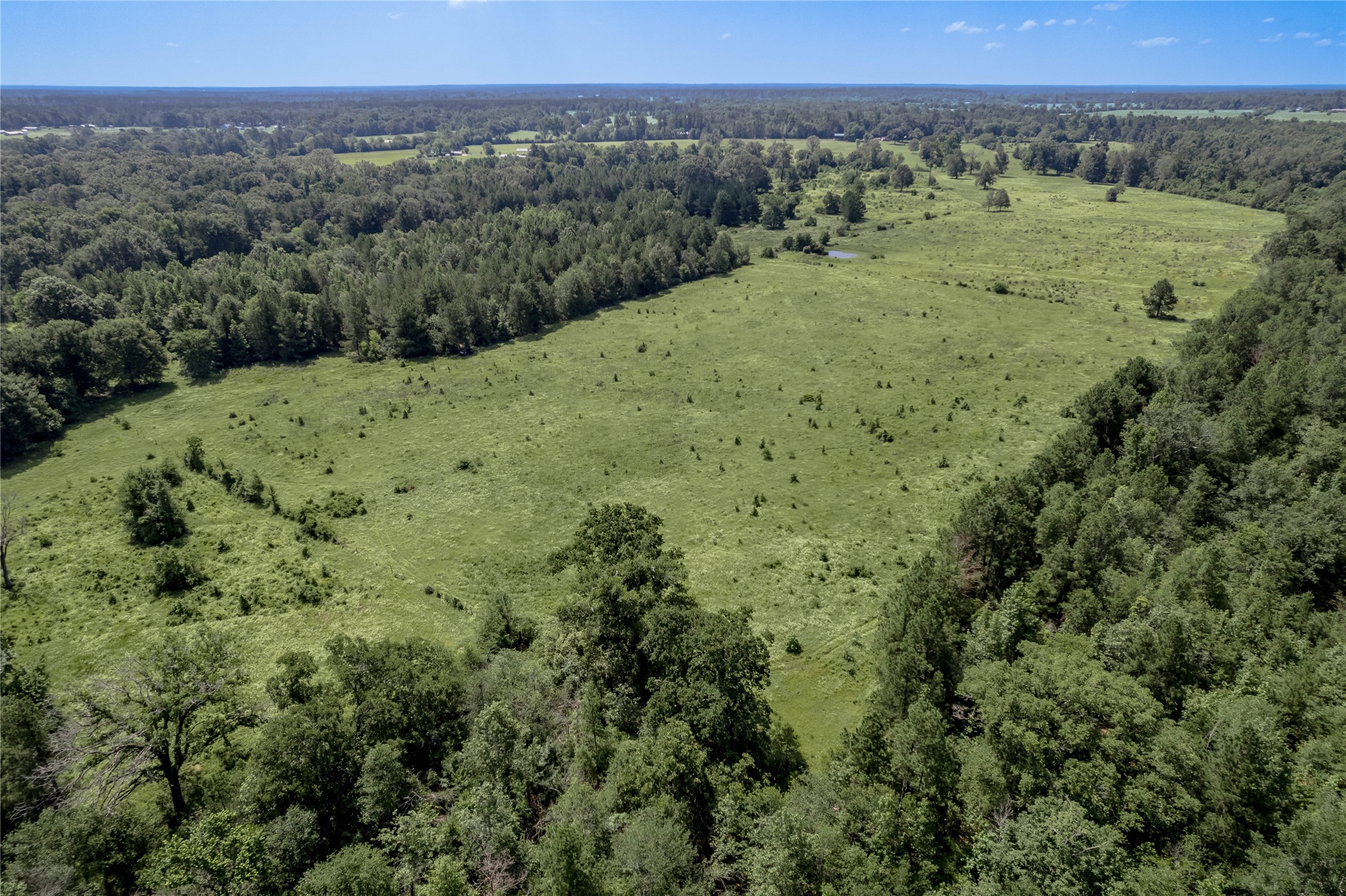 Tbd Neal Helton Road Kennard, TX 75847 - Photo 29 of 30 a view of a lush green field with lots of bushes