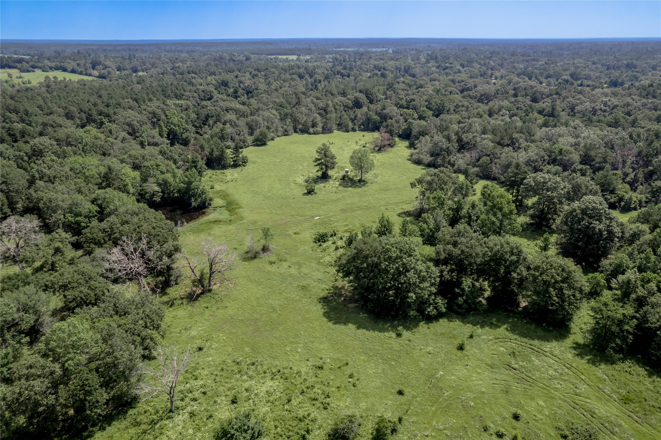 Tbd Neal Helton Road Kennard, TX 75847 - Photo 30 of 30 a view of a forest with a street