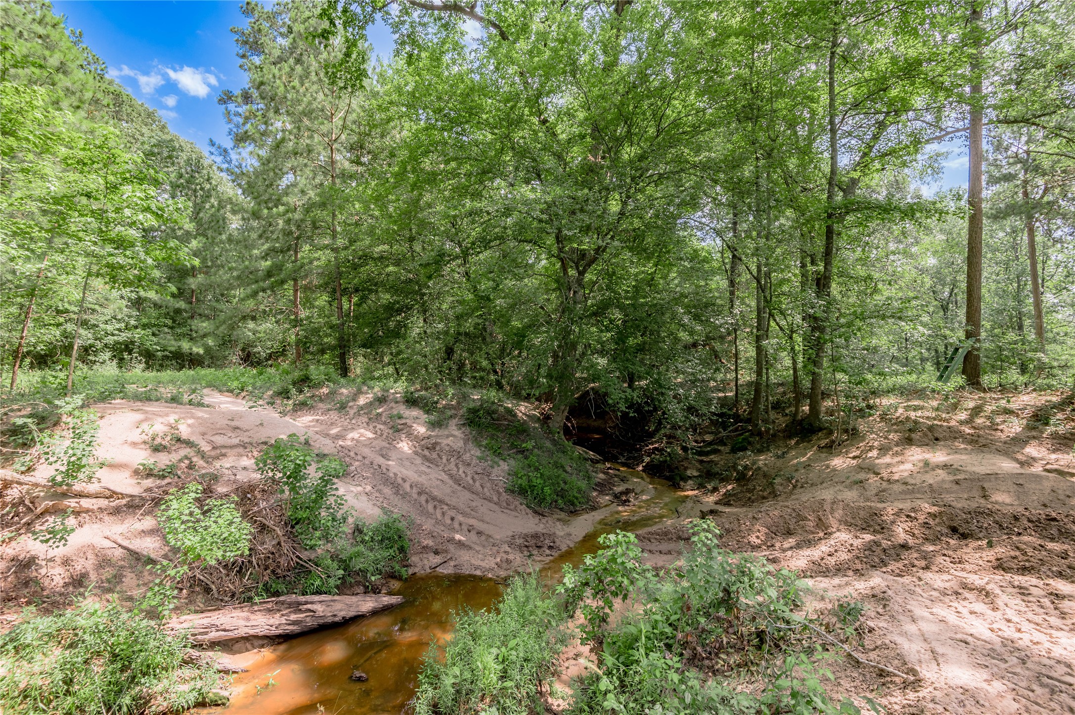 Tbd Neal Helton Road Kennard, TX 75847 - Photo 3 of 30 a view of backyard with green space