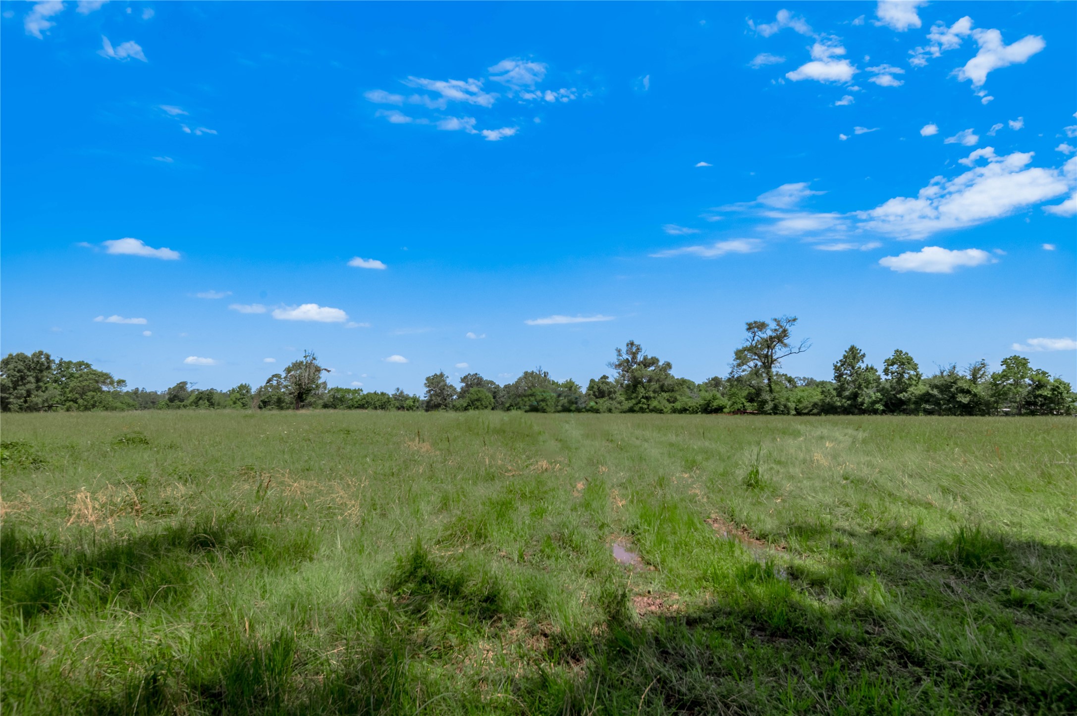 Tbd Neal Helton Road Kennard, TX 75847 - Photo 4 of 30 a view of a lake from a yard