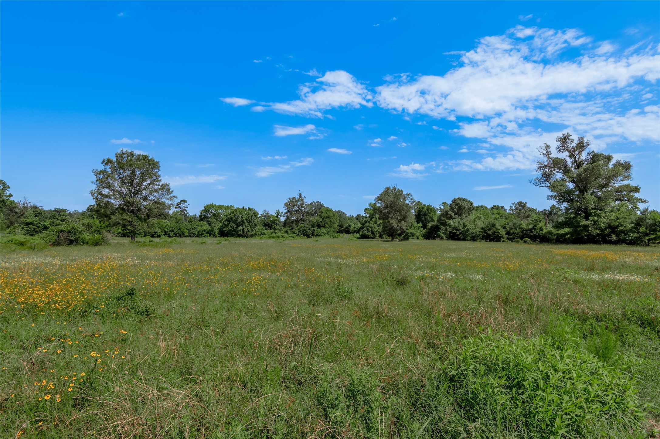 Tbd Neal Helton Road Kennard, TX 75847 - Photo 5 of 30 a view of lake with green space