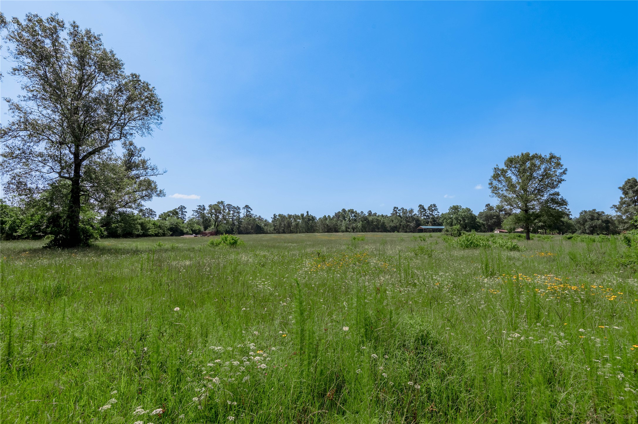 Tbd Neal Helton Road Kennard, TX 75847 - Photo 6 of 30