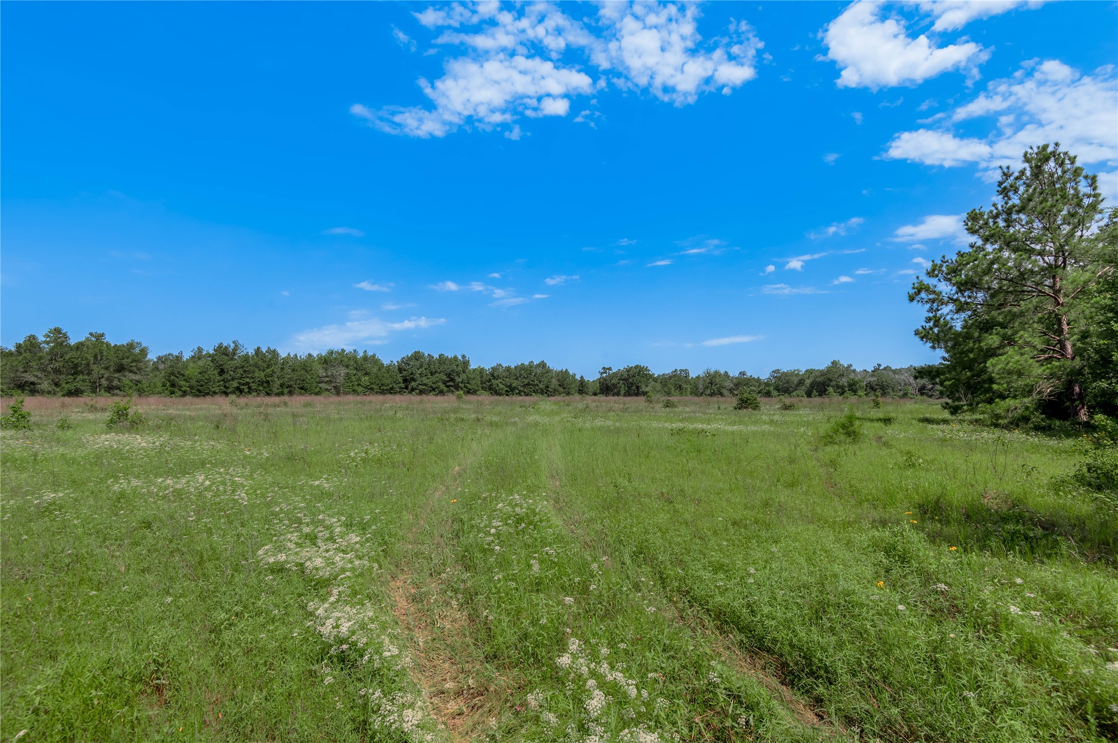 Tbd Neal Helton Road Kennard, TX 75847 - Photo 10 of 30 a view of lake with green space