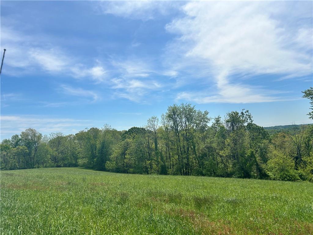 776 Fraction Road West Finley, PA 15377 - Photo 41 of 43