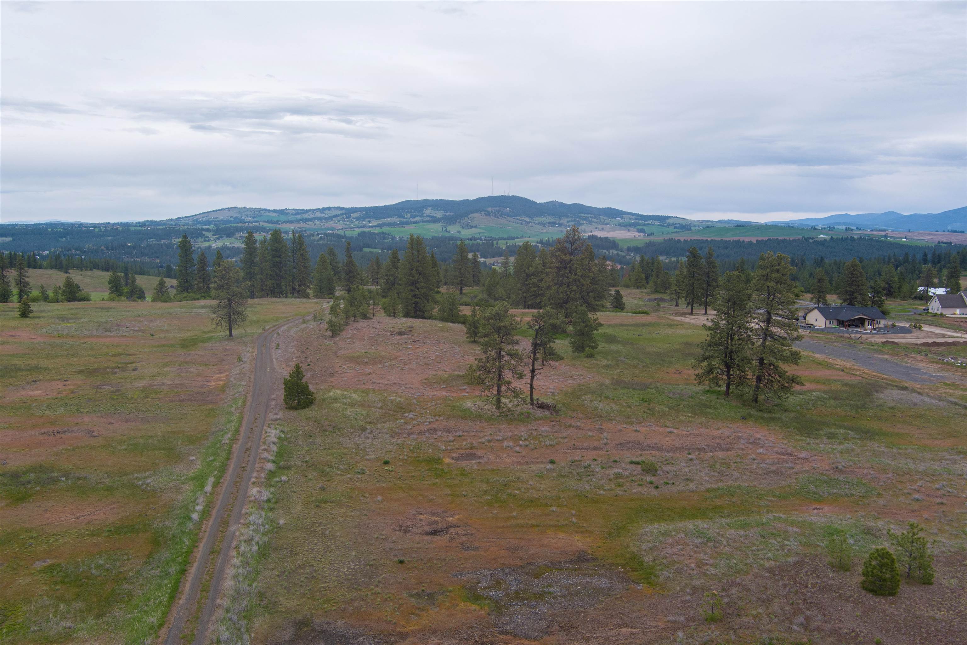 15108 South Stentz Road Spangle, WA 99031 - Photo 4 of 20 Gallery Image 4