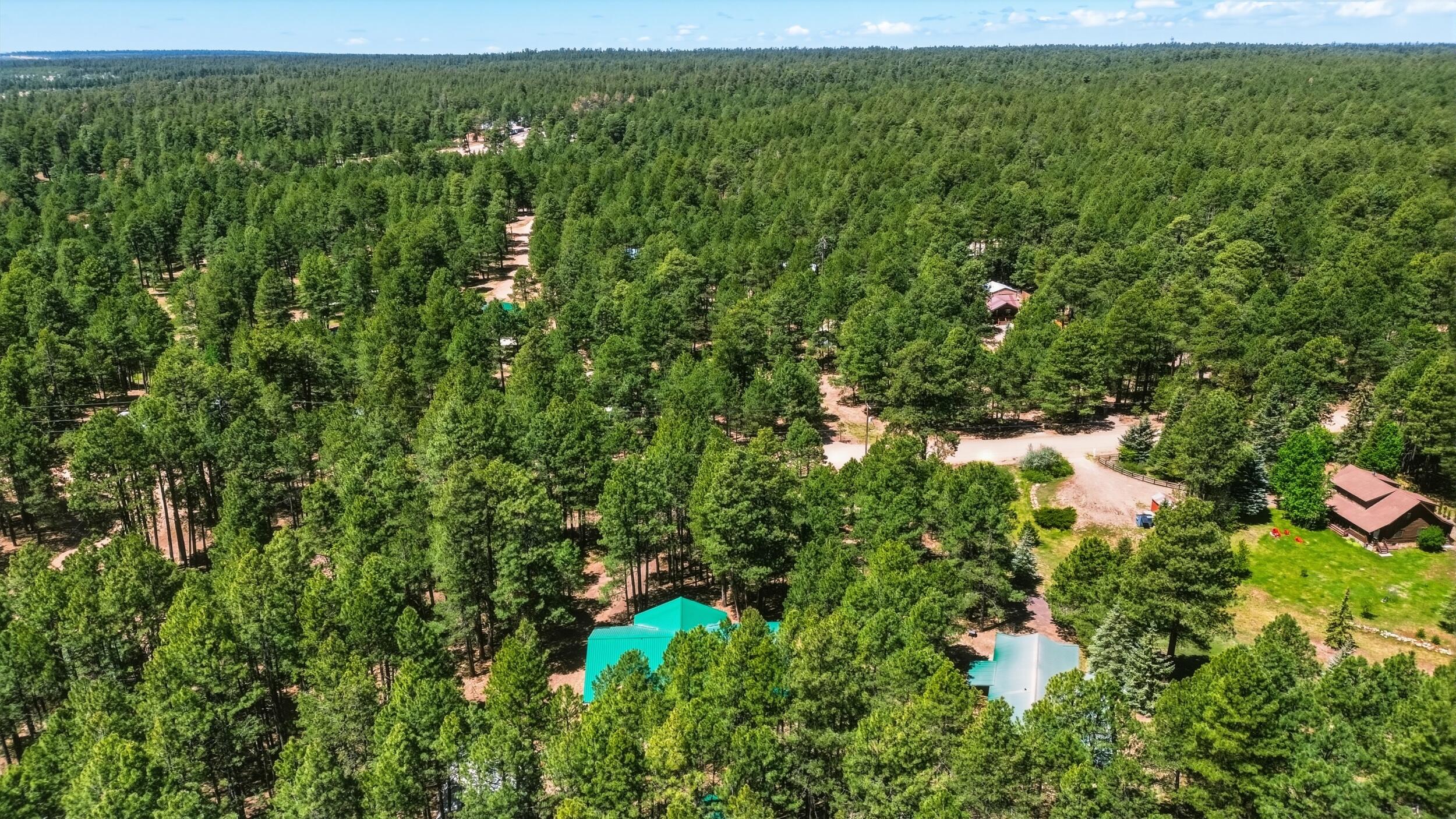 1233 Merzville Road Forest Lakes, AZ 85931 - Photo 33 of 39