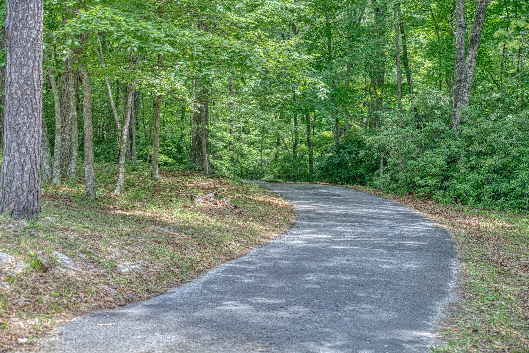919 Reeves Road Monterey, TN 38574 - Photo 3 of 48 Gallery Image 3