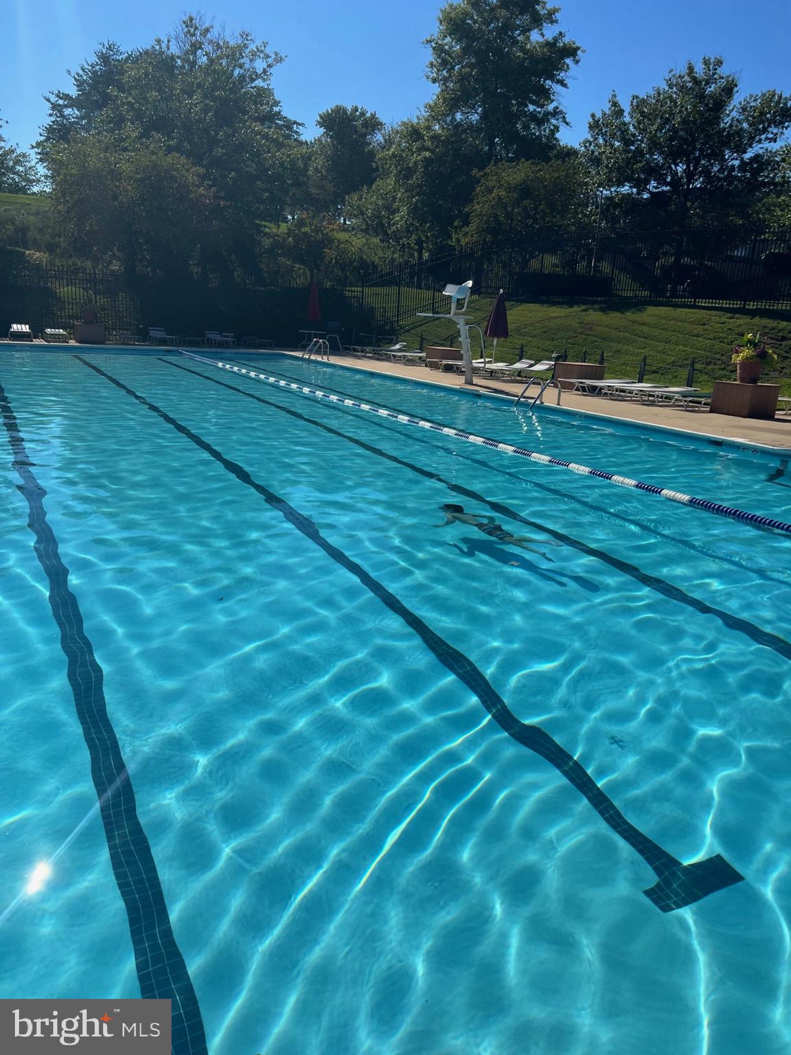 12515 Willow Spring Circle Germantown, MD 20874 - Photo 21 of 22 a view of a swimming pool with a yard
