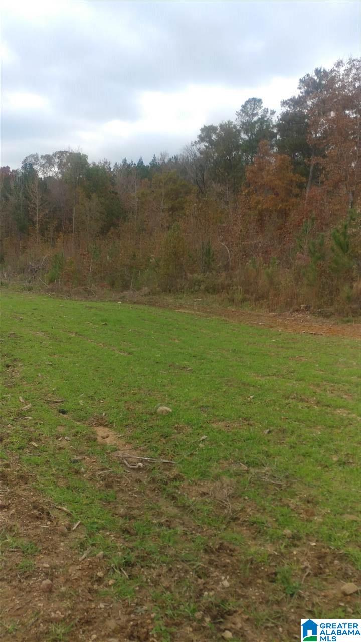 0 Bulldog Bend Road Brierfield, AL 35035 - Photo 30 of 32