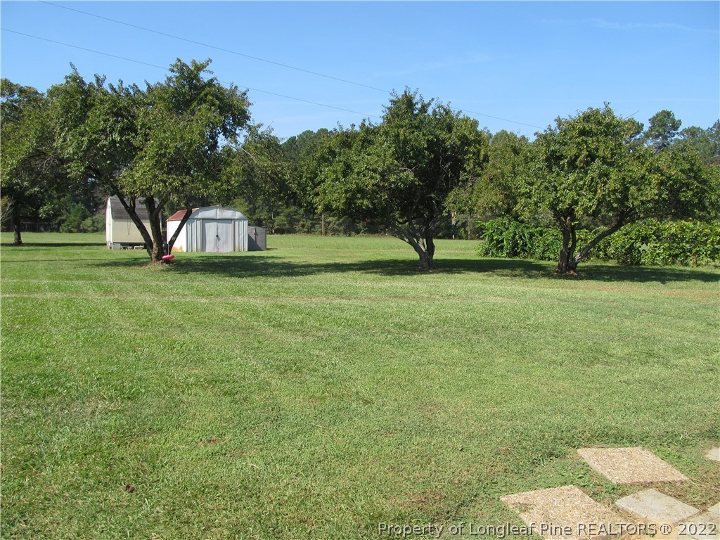 4586 Ross Road Lillington, NC 27546 - Photo 4 of 23 Gallery Image 4
