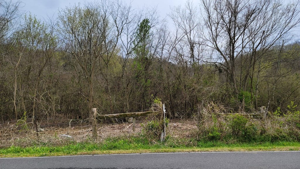 0 Piedmont Road New Market, TN 37820 - Photo 4 of 11