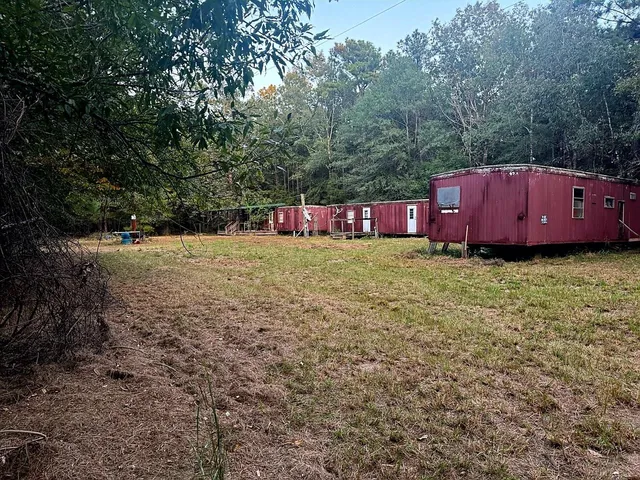 a view of a forest with trees in the background