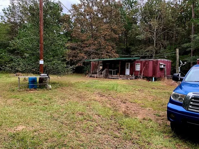 a view of a forest with lots of trees