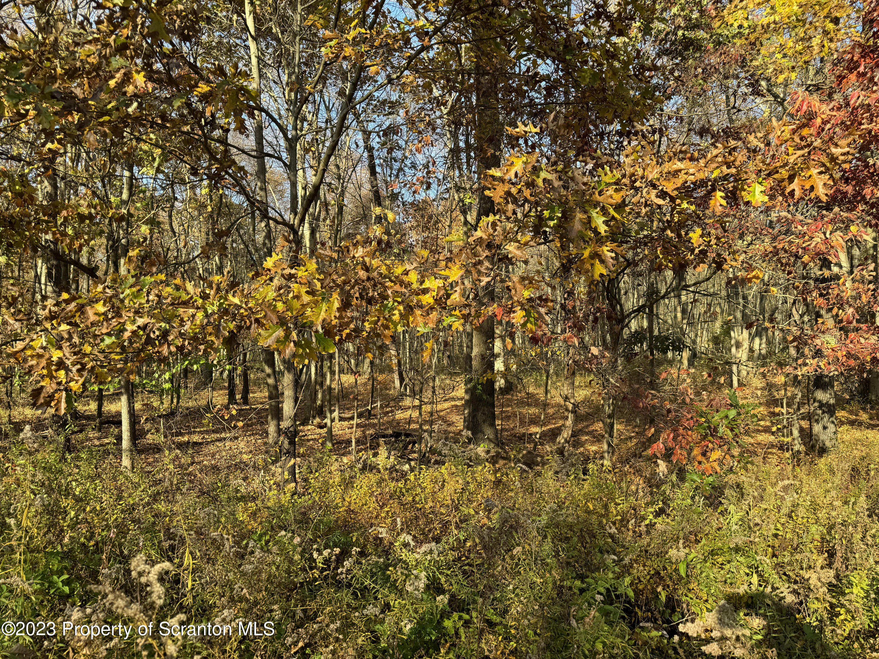 2 Lower Narrows Road Clarks Summit, PA 18411 - Photo 2 of 4 a view of a yard