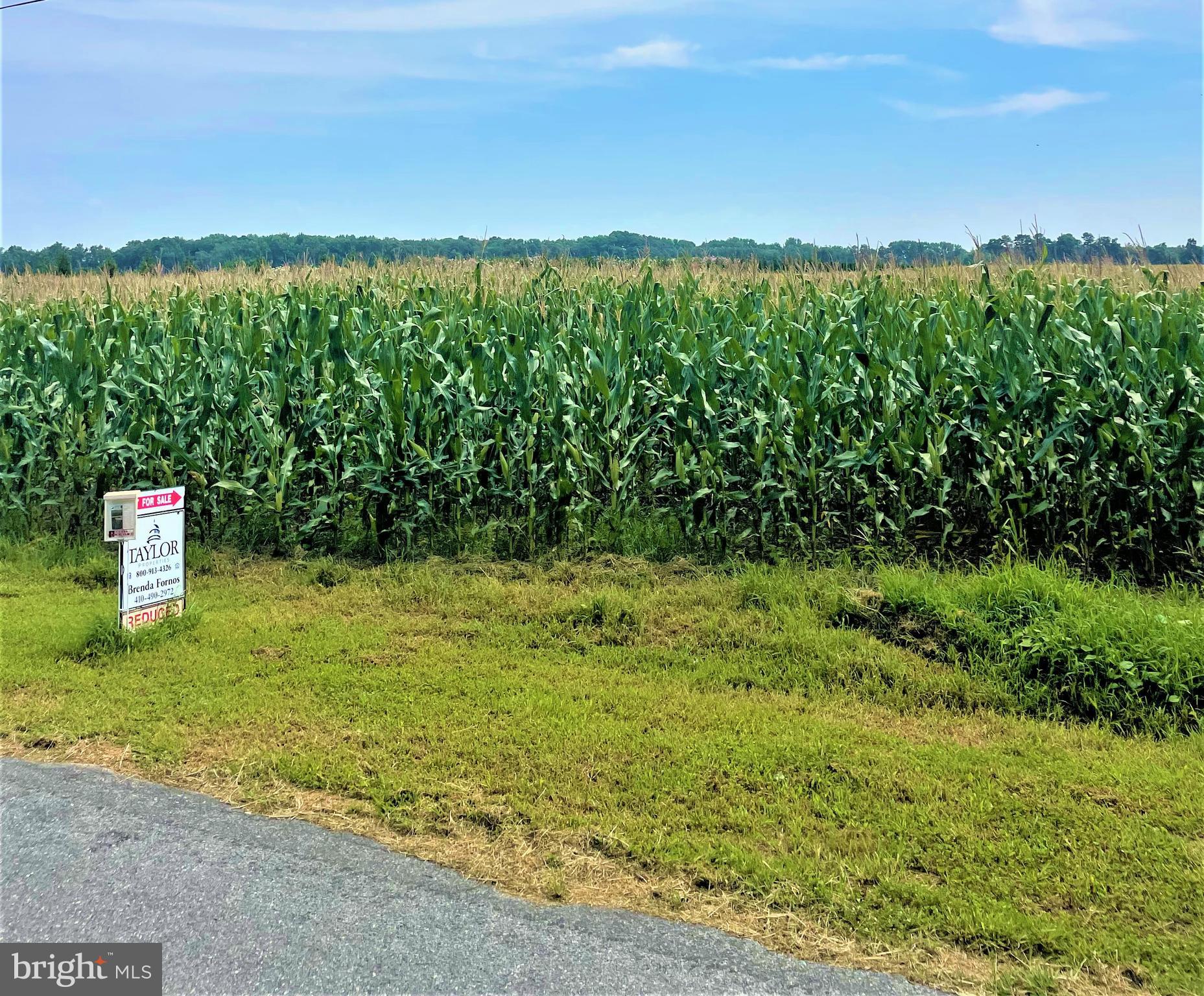 Hynson Road Hurlock, MD 21643 - Photo 1 of 8 Escape to the country & relax!