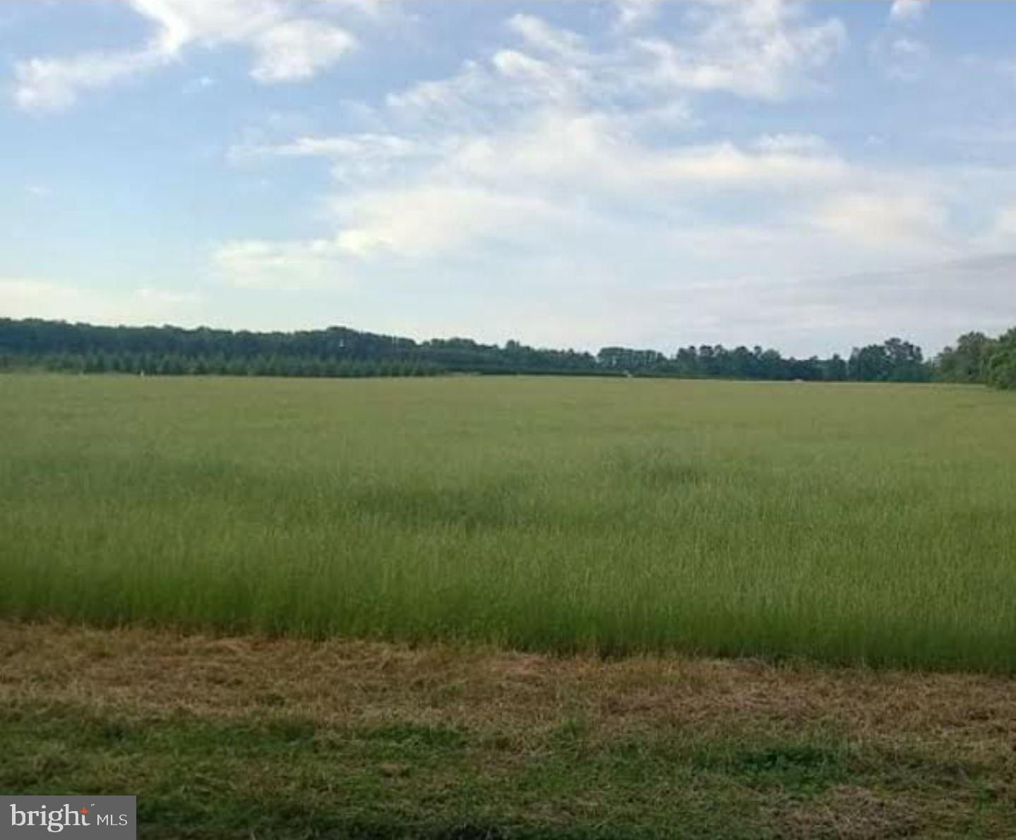 Hynson Road Hurlock, MD 21643 - Photo 3 of 8 Beautiful country location to call your own!