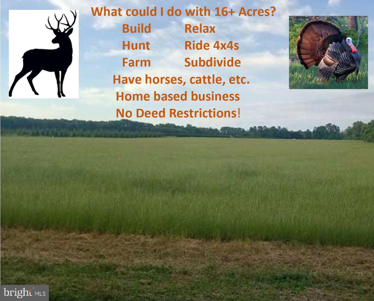 Hynson Road Hurlock, MD 21643 - Photo 7 of 8 Beautiful country location!