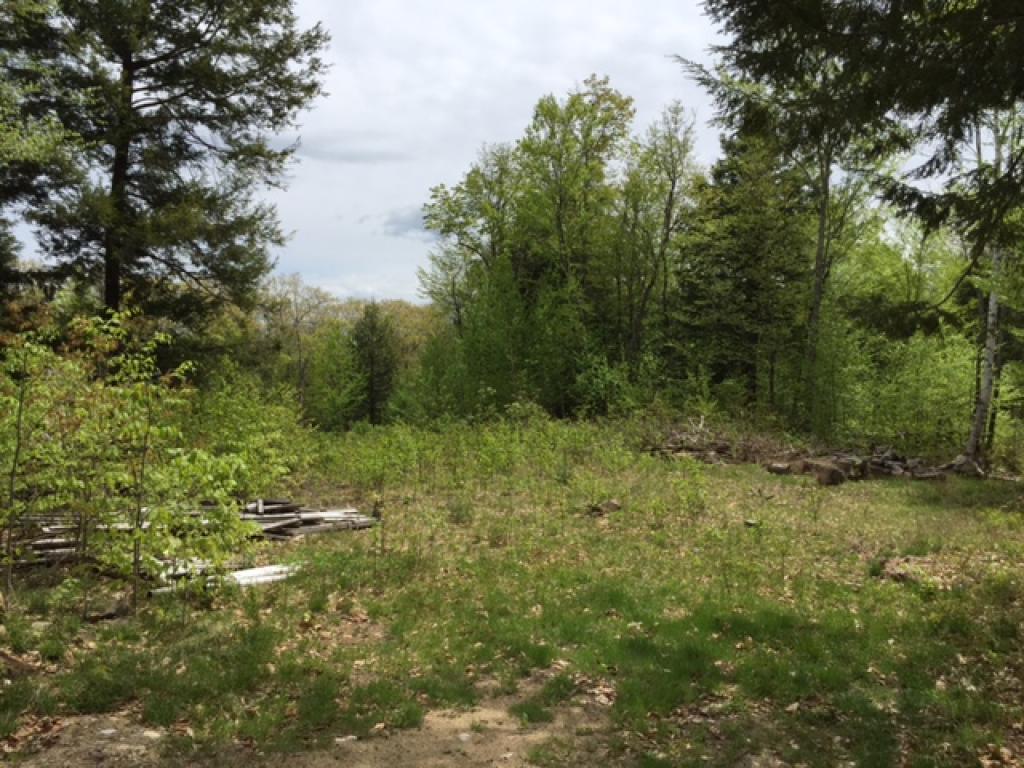 234 Wing Road Sandwich, NH 03259 - Photo 11 of 13