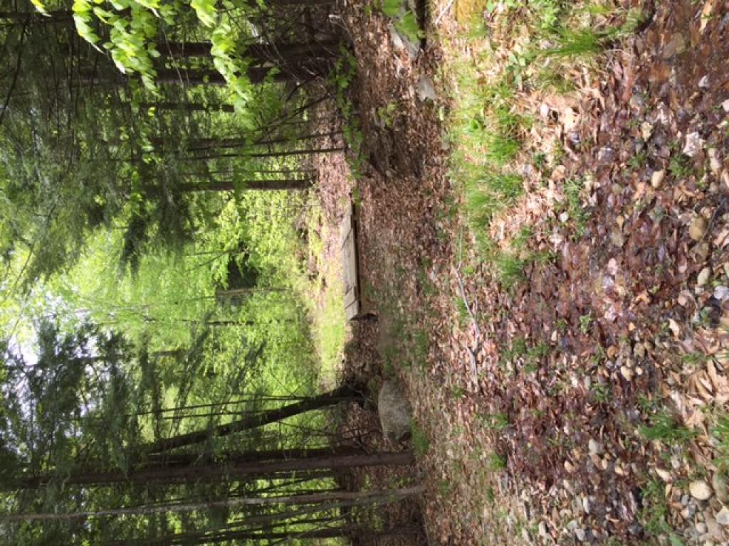 234 Wing Road Sandwich, NH 03259 - Photo 5 of 13