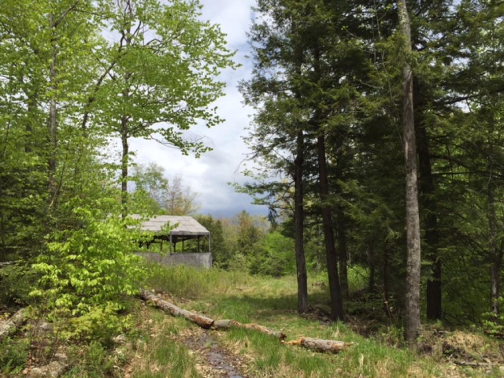 234 Wing Road Sandwich, NH 03259 - Photo 8 of 13