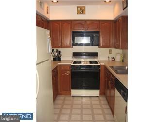 5494 Rinker Circle, Unit 319 Doylestown, PA 18902 - Photo 7 of 12 Kitchen