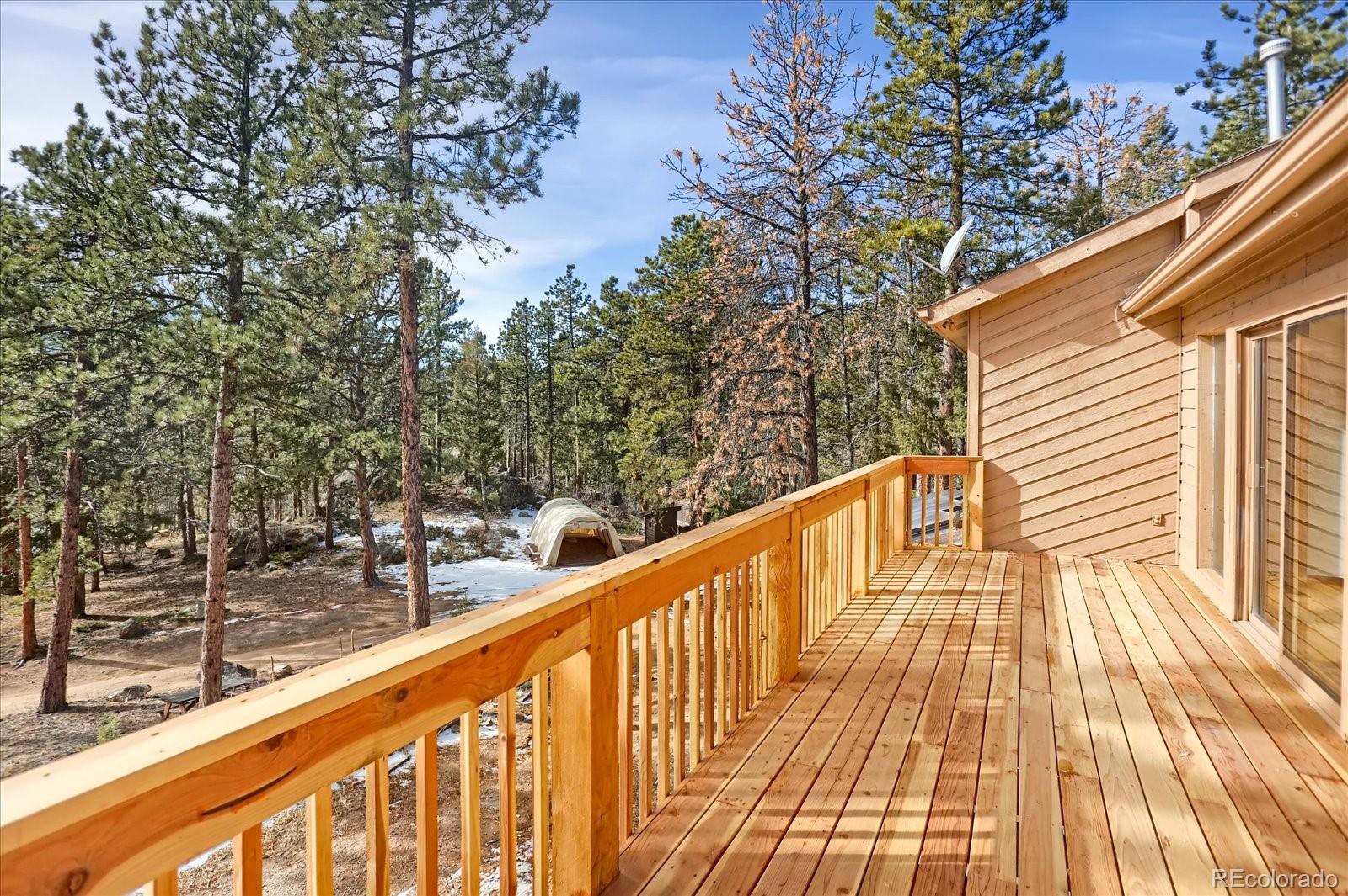 12345 Bear Haven Road Conifer, CO 80433 - Photo 11 of 46