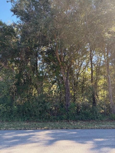 345 South Ridgewood Avenue DeLand, FL 32720 - Photo 4 of 7
