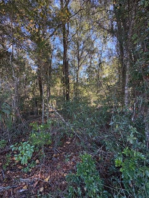 345 South Ridgewood Avenue DeLand, FL 32720 - Photo 5 of 7