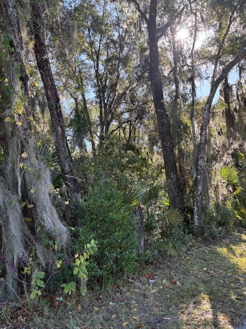 345 South Ridgewood Avenue DeLand, FL 32720 - Photo 6 of 7