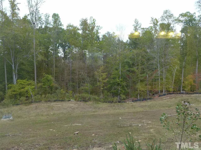 a view of a forest with trees