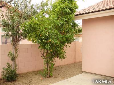 2985 West Sun Ranch Trail Tucson, AZ 85742 - Photo 14 of 22