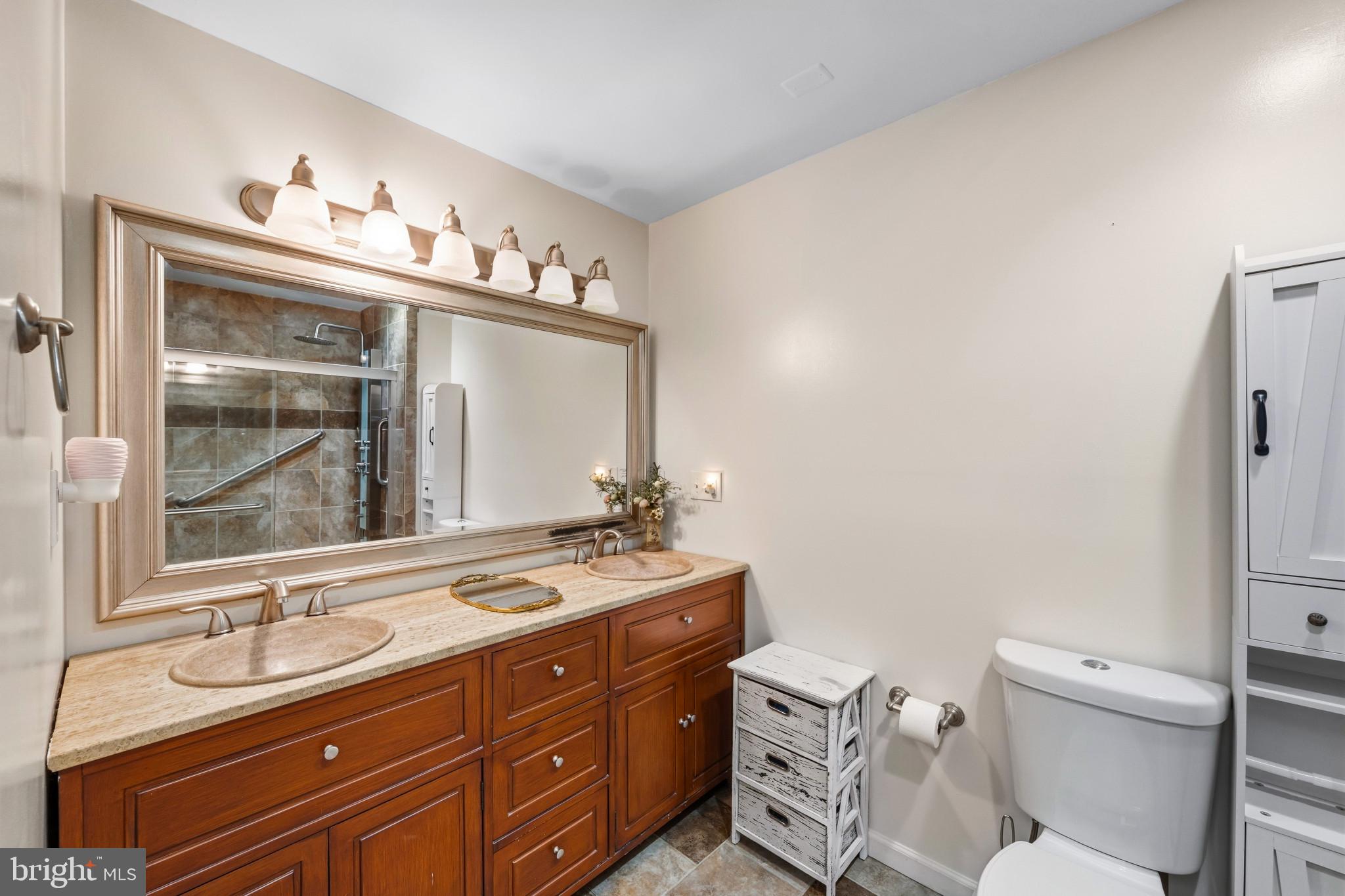 2702 Bird View Road Westminster, MD 21157 - Photo 20 of 41 a bathroom with a toilet sink double vanity and mirror
