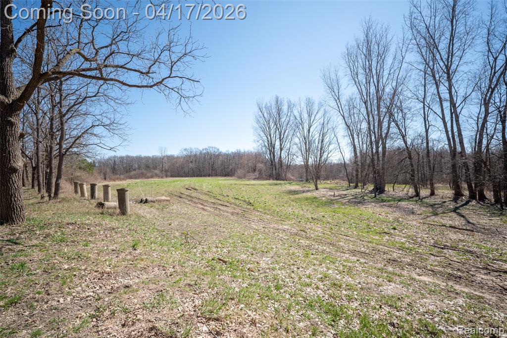 825 West Rose Center Road Holly, MI 48442 - Photo 17 of 29