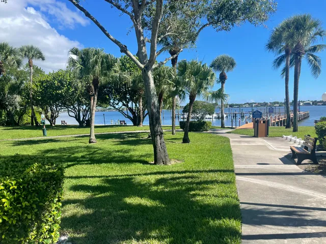 a view of a park with palm trees