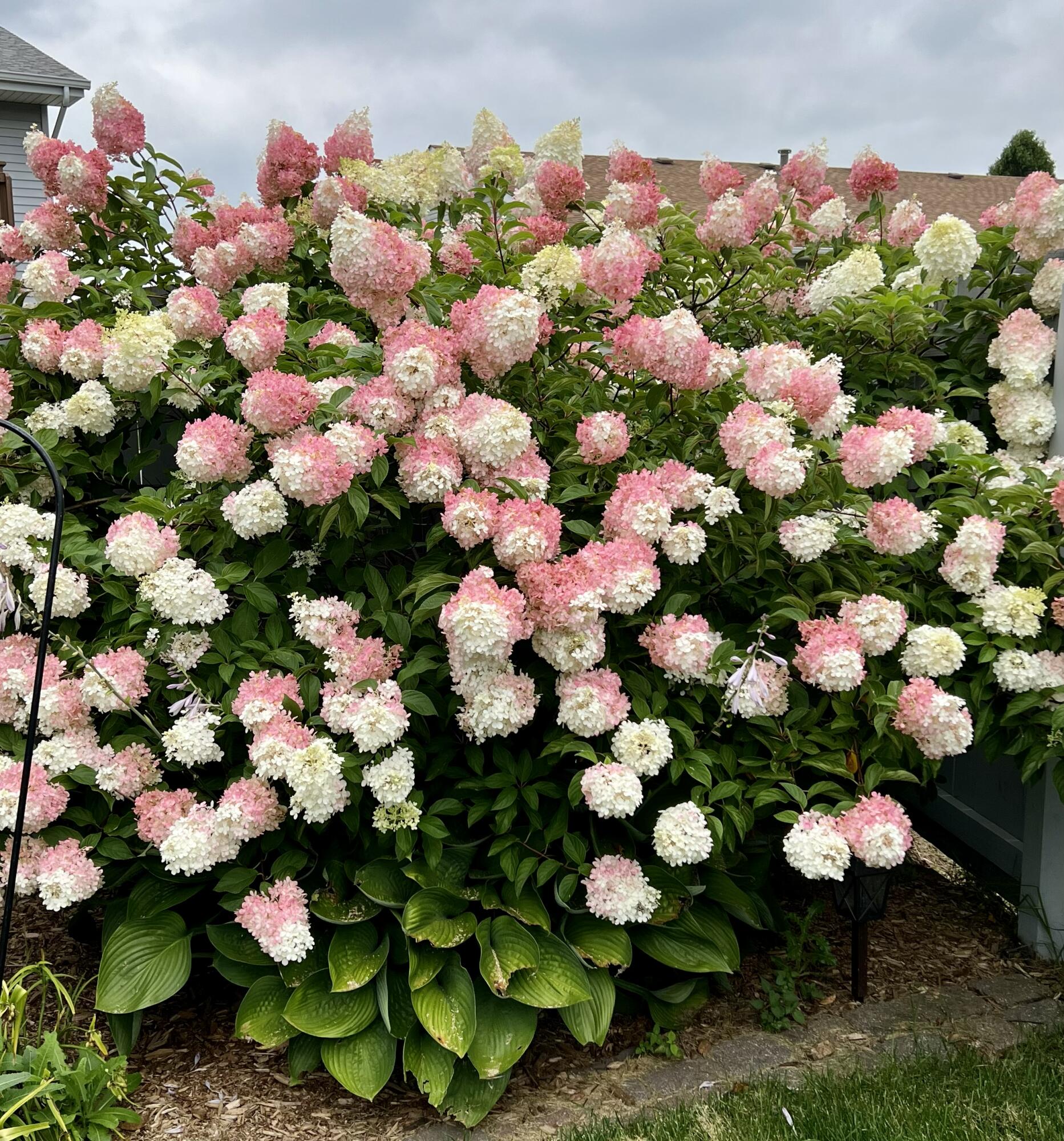 713 Robin Court Griffith, IN 46319 - Photo 28 of 34 1865x2000