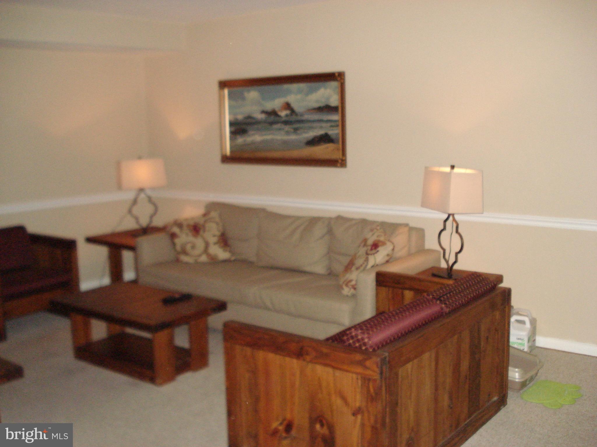 14 Cross Keys Road, Unit 14C Baltimore, MD 21210 - Photo 10 of 23 Living Room