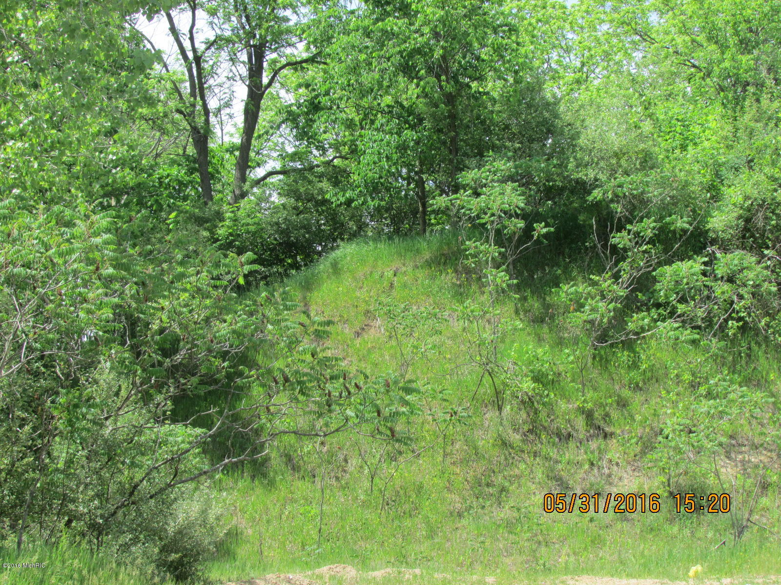 Parcel 2 Brott Road Reading, MI 49232 - Photo 3 of 6 8000 008