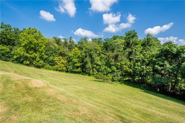an aerial view of residential houses with outdoor space and trees