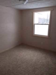 5950 Wallaker Road Benzonia, MI 49616 - Photo 26 of 29 1830009-25.JPG