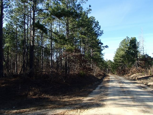0 Higginbotham Road, Unit 259 Macon, MS 39341 - Photo 1 of 50 Photo 1