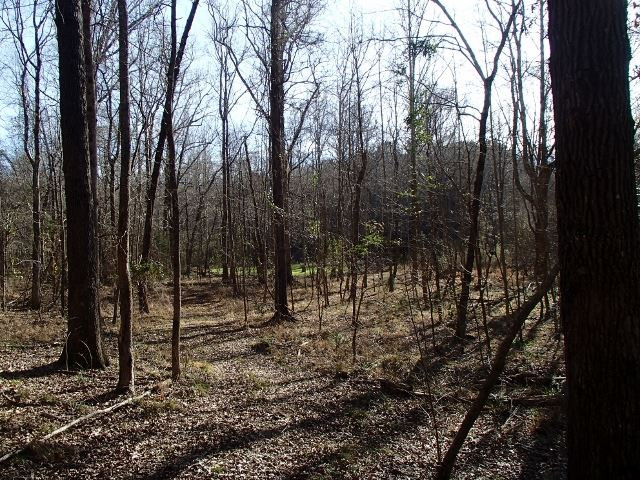 0 Higginbotham Road, Unit 259 Macon, MS 39341 - Photo 29 of 50 Photo 29