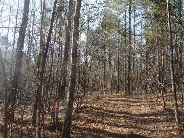 0 Higginbotham Road, Unit 259 Macon, MS 39341 - Photo 43 of 50 Photo 43