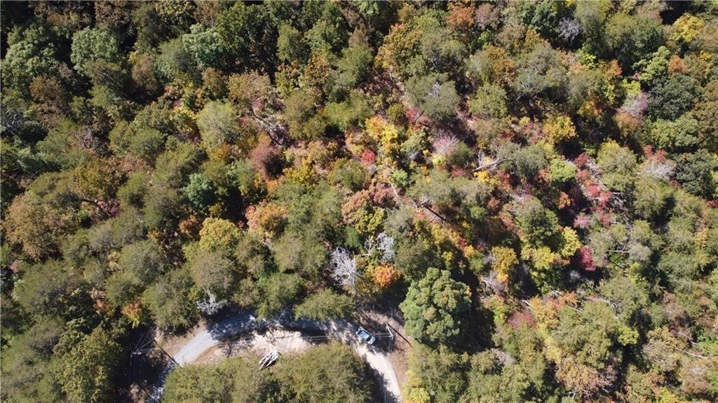 169 Jasmine Drive Ranger, GA 30734 - Photo 24 of 61