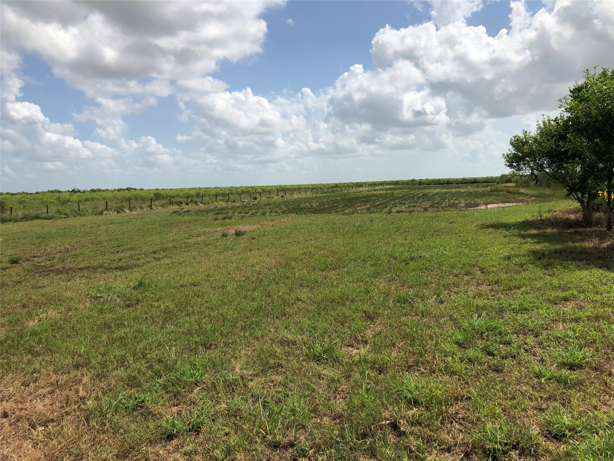 0 Cr-595 Angleton, TX 77515 - Photo 4 of 11