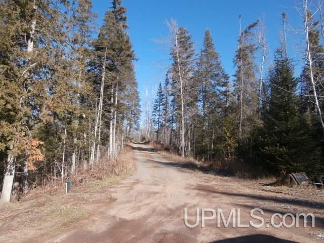115 Sheltrow Road Crystal Falls, MI 49920 - Photo 10 of 28 Gallery Image 10