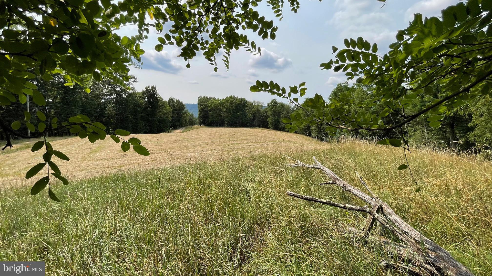 1285 Boggs Lane Mathias, WV 26812 - Photo 47 of 50