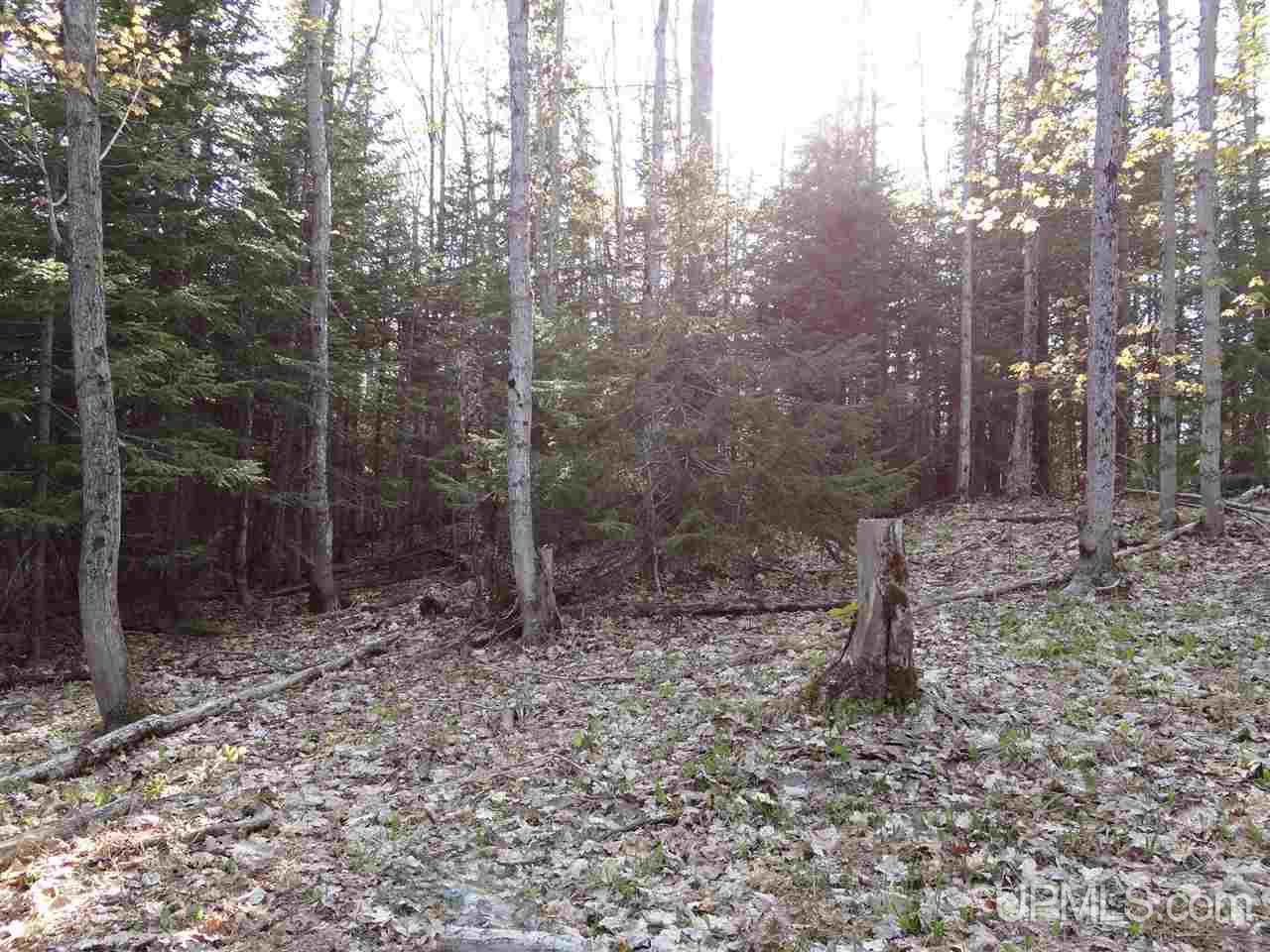 Tbd Rauhala Road, Unit PARCEL 3 Atlantic Mine, MI 49931 - Photo 17 of 19