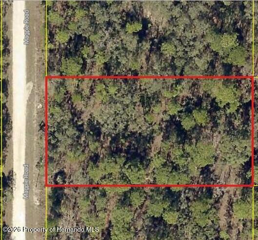 16026 Magpie Road Brooksville, FL 34614 - Photo 1 of 5