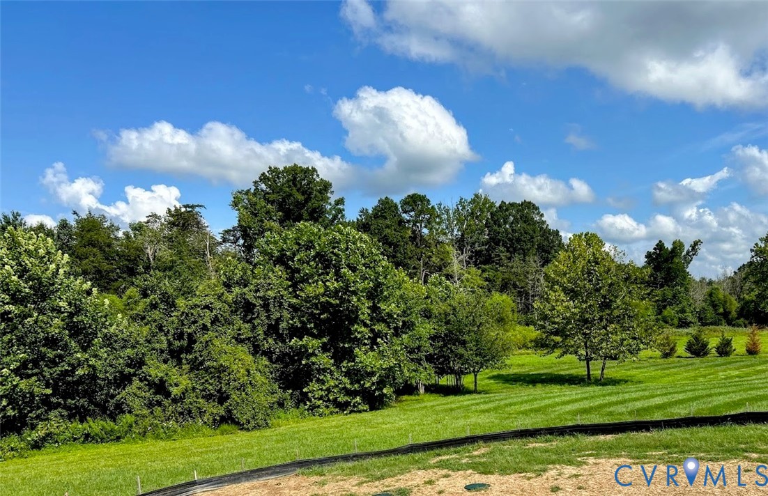 20184 Bennett Way Orange, VA 22960 - Photo 6 of 50 a view of a big yard with a large tree