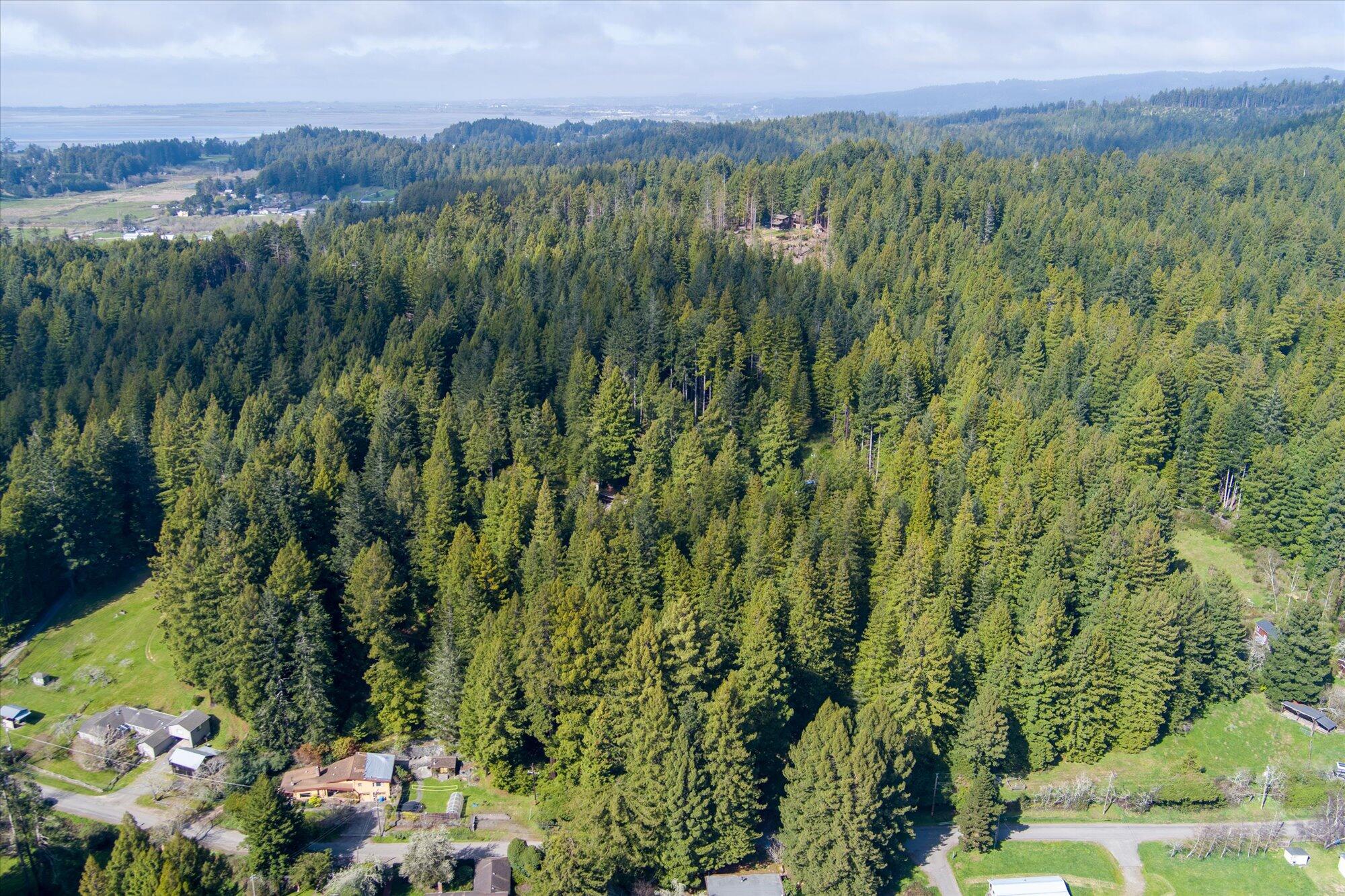355 Redmond Road Eureka, CA 95503 - Photo 2 of 39